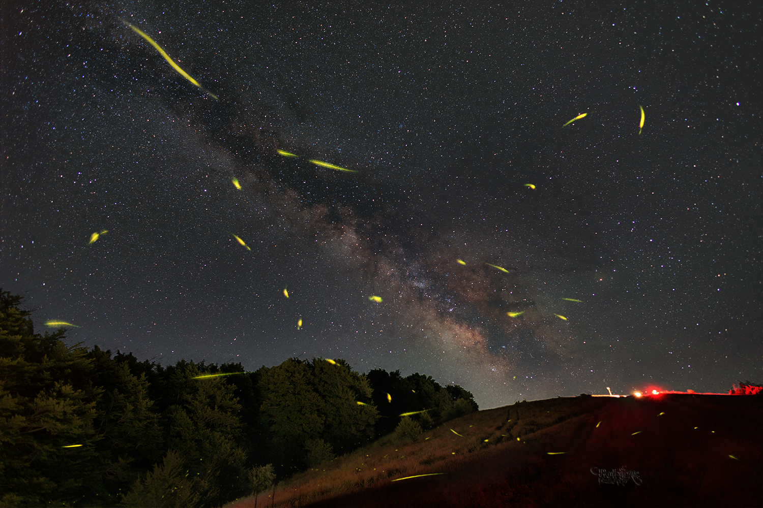 Milky Way and Fireflies